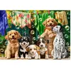 Castorland puzzel 500 stukjes: puppy's, wasgoed en vogels