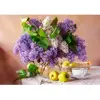 Castorland Nature Morte Lilas 54091