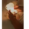 Mary's Veilleuse rechargeable T-Rex