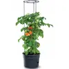 Prosperplast Vorstbestendige tomatenpot Tomatenteler IPOM300