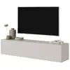 Selsey Bisira Meuble TV, Melamine, Taupe (Gris-Beige), 140 cm