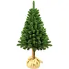 Damich - Kerstboom Hoge kwaliteit op stam - Dennen  160 cm