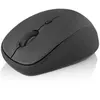 Modecom MC-WM6 Souris (Sans fil), Souris, Noir, Gris