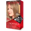 Revlon Colorsilk Coloration Permanente N°60 Blond Cendré Foncé