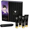 Shunga Naughty Geisha Kit avec jouet