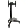 Ergotron MediaCenter mobile UHD Neo-Flex