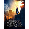 Wrebbit 3D Poster Puzzle Fantastic Beasts- New York - 500 pièces