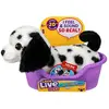 Moose Mein Real Puppy Kleine Pepper 21 Cm (16 cm)