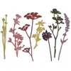 SIZZIX Matrice de découpe Thinlits Set 7 pièces - Fleurs Sauvages