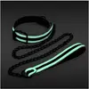 Collier-Laisse fluorescente Glo 75cm