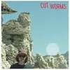 Jagjaguwar Cut Worms - Alien Sunset (12" Vinyl Single)