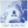 Modulor Cnt Sky Blue Void Vinyle Bleu