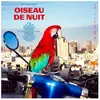 Modulor Cnt Oiseau De Nuit