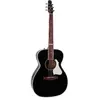 Seagull Artist LTD Tuxedo Black Anthem elektrisch-akoestische westerng...