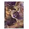 Cobble Hill Chasseur le Soir Hill-40234