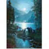 Cobble Hill Nuit des Ours Hill-40008