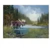 Cobble Hill Moose Lake Hill-40196