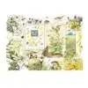Cobble Hill Nature Journal - Printemps Hill-40310