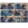 Cobble Hill Puzzle 1000 Raben G3 (1000 pièces)