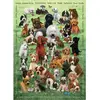 Cobble Hill Family - Chiots Hill-47007