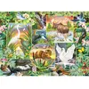 Cobble Hill River Magic Hill-47001