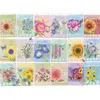 Cobble Hill Sachets de Graines Hill-45080