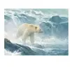 Cobble Hill Pièces XXL - Salmon Watch - Spirit Bear Hill-45026