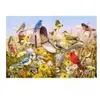 Cobble Hill puzzle 2000 pieces - Field song