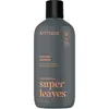 Attitude, Gel douche, Herren-Duschgel Super Leaves Patchouli & Bourbon...