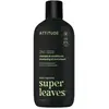 Attitude Super Leaves Men Versterkende 2-In-1 Shampoo & Conditioner
