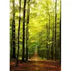 EurographicsPuzzles - Forest Path - puzzle - 1000 pièces