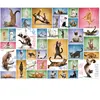 Puzzle YOGA CATS - EUROGRAPHICS - 1000 pcs - Animaux - Mixte - Violet