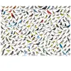 EuroGraphics The World of Birds by David Sibley