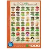 Puzzle Eurographics - Herbes et épices, 1000 pièces