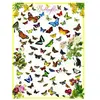 EurographicsPuzzles - Les papillons - puzzle - 1000 pièces