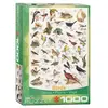 Puzzle Eurographics - Oiseaux, 1000 pièces