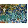 EurographicsPuzzles - Irises - puzzle - 1000 pièces