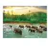 Puzzle Eurographics - Sauvez la planète ! Le règne animal, 1000 pièces