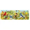 Puzzle panoramique Eurographics - Oiseaux du jardin, 1000 pièces