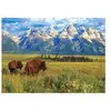 EuroGraphics Puzzle 1000 pièces : Parc National de Grand Teton