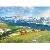 Eurographics Les Élans à la Montagne 6000-5705
