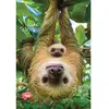 Eurographics Puzzel Luiaards - 250 stukjes