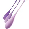Kit d'entrainement Kegel violet