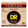 DR Strings VTA-10 Veritas Acoustic Snaren (10-48)