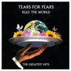 Mercury Tears For Fears - Rule The World: Greatest Hits Lp