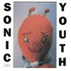 Universal Music Sonic Youth - Dirty (2 LP)