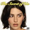 Universal Music Gracie Abrams - The Secret Of Us (LP) (Coloured Vinyl)