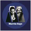 Universal Music Motown Anniversary : Marvin Gaye