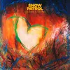 Polydor The Forest Is The Path