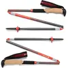 Black Diamond Bâtons Pursuit Carbon Z